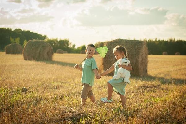代孕成功率